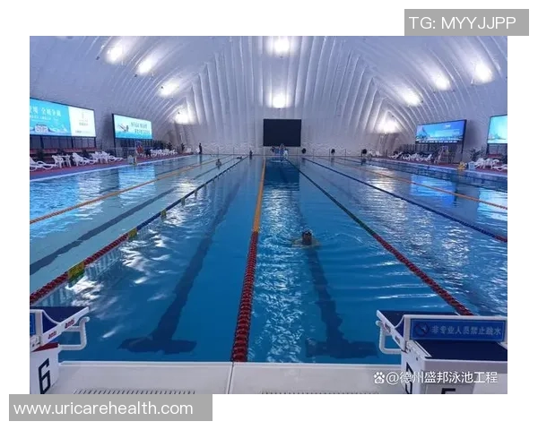 掌控泳池巅峰力量，引领游泳界新时代的冠军之路