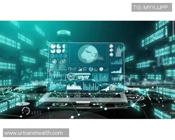 信息安全时代的挑战与应对策略：保护数据隐私与网络安全的全方位解析