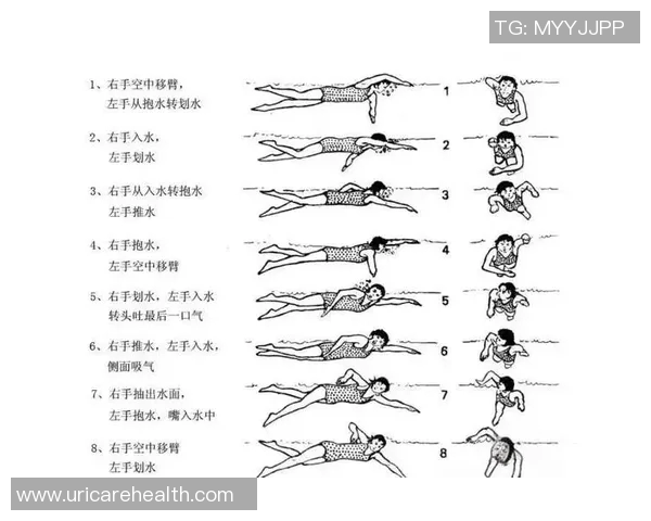 自由泳呼吸技巧解析与训练方法：掌握正确节奏提升游泳效率与耐力