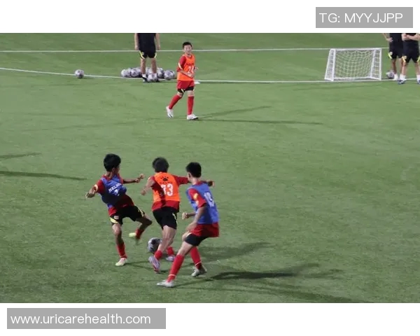 足球小子携手伙伴征战绿茵场梦想实现之路迎接挑战拼搏奋斗青春无限