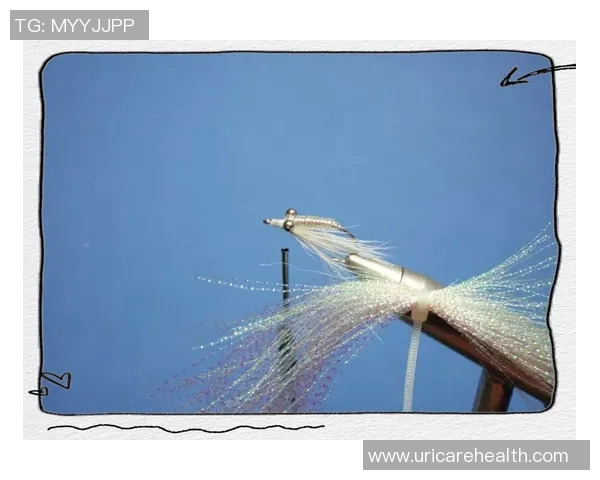 渔具发展历程与创新趋势探索:从传统手工到智能科技的演变分析