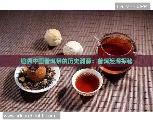 茶叶的种植与文化传承探索从古至今的历史渊源与现代创新发展